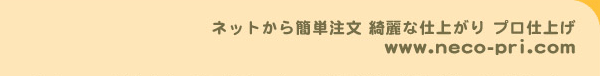 neco-pri.com