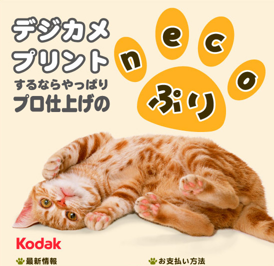 デジカメプリントするならやっぱりnecoぷり